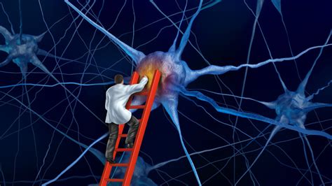 STAT Newly Discovered Brain Cells May Be a Memory Filing System
