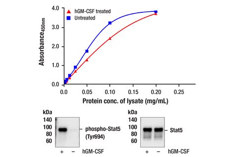 STAT5 ELISA Kits Biocompare