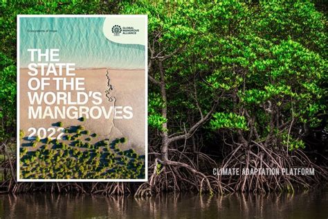 State of the World's Mangroves - The Nature Conservancy - raincitystudios.com