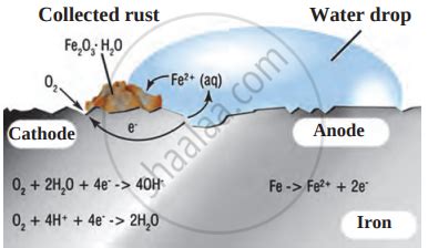 State two conditions necessary for rusting of iron. - Science - balustradellc