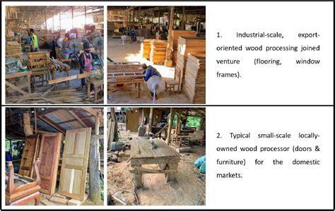 State-Directed Wood Industry Upgrading for Forest … - raincitystudios.com