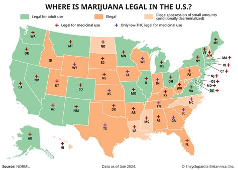 States Where Marijuana Is Legal in 2023 - CFAH - balustradellc