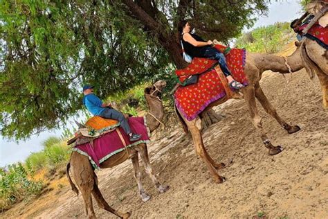 Stay Under The Billions Stars Overnight Camel Safari Tour - balustradellc
