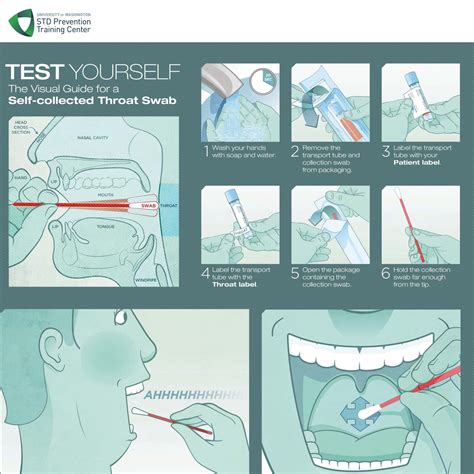 STD Prevention and Testing