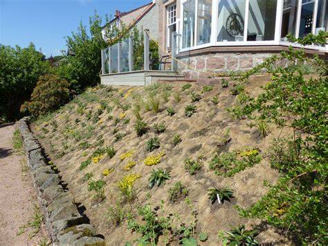 Steep banks and slopes | RHS Advice - raincitystudios.com