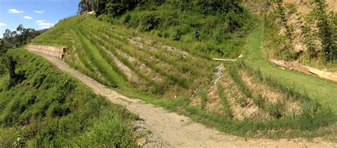 STEEP SLOPE STABILISATION AND REHABILITATION WITH VETIVER … - raincitystudios.com