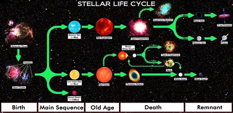Stellar Evolution: Life Cycles of Stars - muktibox.com