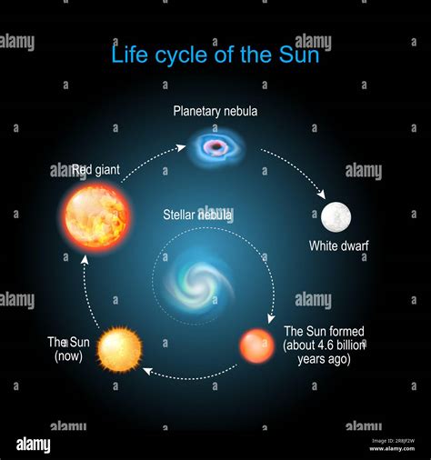 Stellar Life Cycle | Earth Science - Lumen Learning - muktibox.com