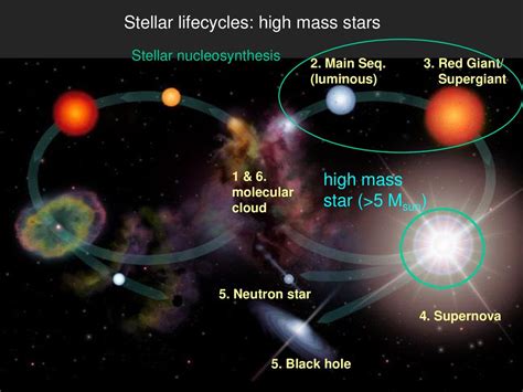 Stellar nucleosynthesis - Philosophy of Cosmology - wintechmobiles.com
