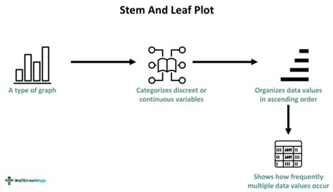 Stem-and-Leaf Plot in R: Your Data Visualization Guide - wintechmobiles.com