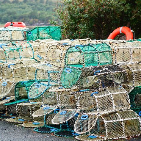 Step by Step Guide to Making Crab Traps - balustradellc