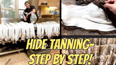 Step-By-Step COMPLETE TANNING TUTORIAL! Taxidermy WET *and* DRY tans ... - balustradellc