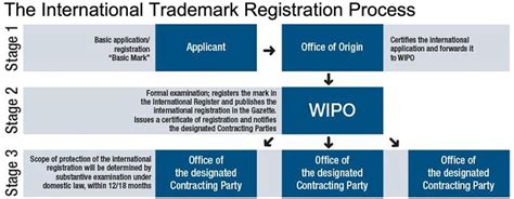 Step-by-Step Guide to Filing a Madrid Protocol Application in 2024 - balustradellc