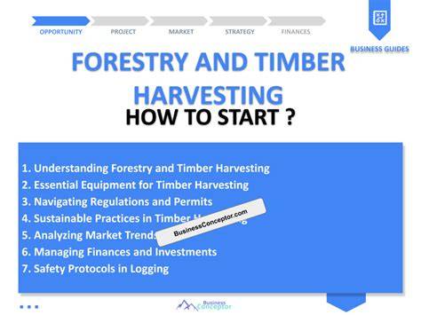 Step-by-Step Guide to Starting a Forestry Business in Nepal - raincitystudios.com