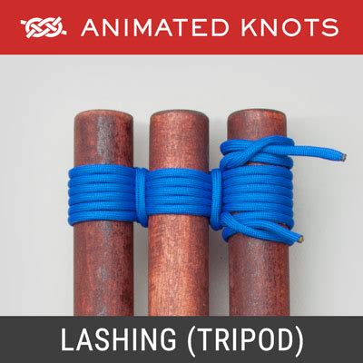 Step-by-Step Guide To Tripod Lashing - balustradellc