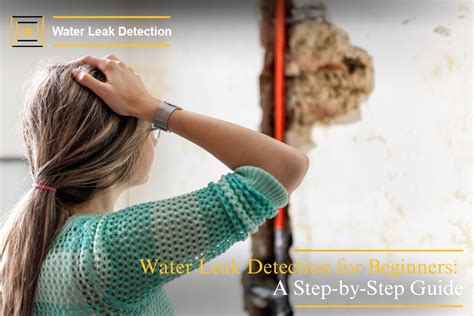 Step-by-Step Guide to Water Leak Detection for … - balustradellc