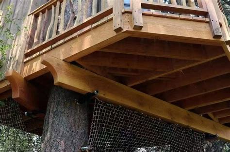 Step-by-Step Treehouse Building Guide for First-Time Buyers - balustradellc