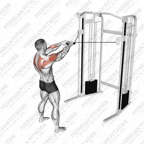 Step-by-Step Tutorial: How to Do a Face Pull for Perfect Posture - balustradellc