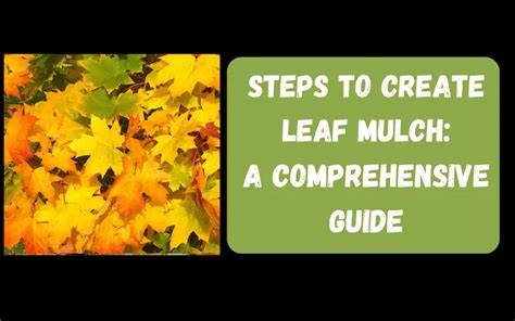 Steps to Create Leaf Mulch: A Comprehensive Guide - raincitystudios.com