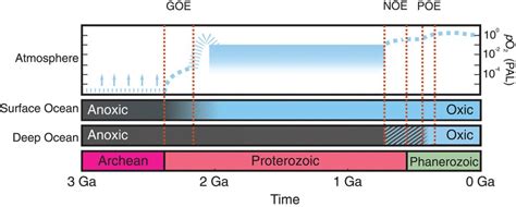 Stepwise Earth oxygenation is an inherent property of global ... - raincitystudios.com