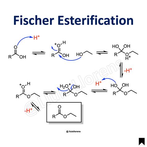 Stereoselective esterification of 2,6-dimethyl-1,7-heptanedioic acid ... - wintechmobiles.com