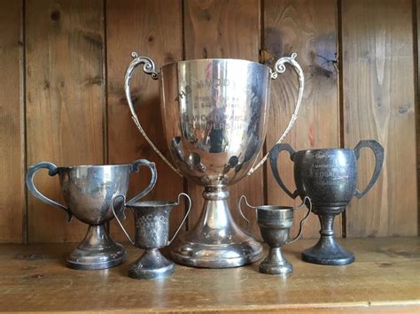 Sterling silver sporting and other cups and trophies - balustradellc