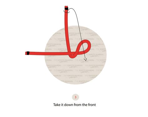 Stevedore Permits & Licenses - Miami-Dade County - balustradellc