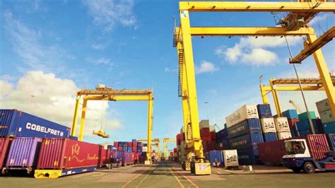 Stevedoring Services: Roles, Operations & Freight … - balustradellc