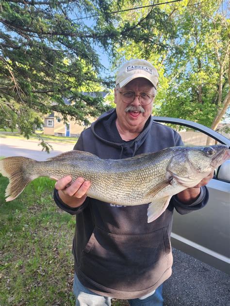 Steven anderson (@awunanderson)’s videos with original sound - balustradellc