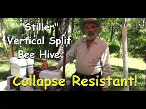 Stiller Carbonaria Vertical Split Collapse Resistant Brood Box for ... - raincitystudios.com
