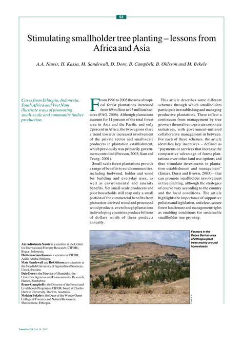 Stimulating smallholder tree planting lessons from Africa and Asia - raincitystudios.com