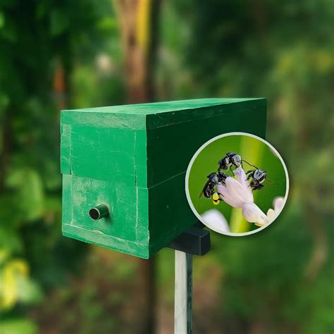 Stingless Bee Box/Stingless Bee Hive Bird House - raincitystudios.com