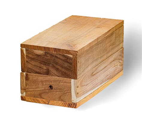 Stingless Bee Box/Stingless Bee Hive-Brown - Amazon.in - raincitystudios.com