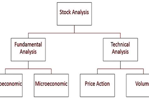 Stock Analysis: Fundamental and Technical Basics - Timothy Sykes - balustradellc