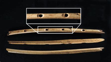 Stone Age flutes found in Germany - Science News - wintechmobiles.com