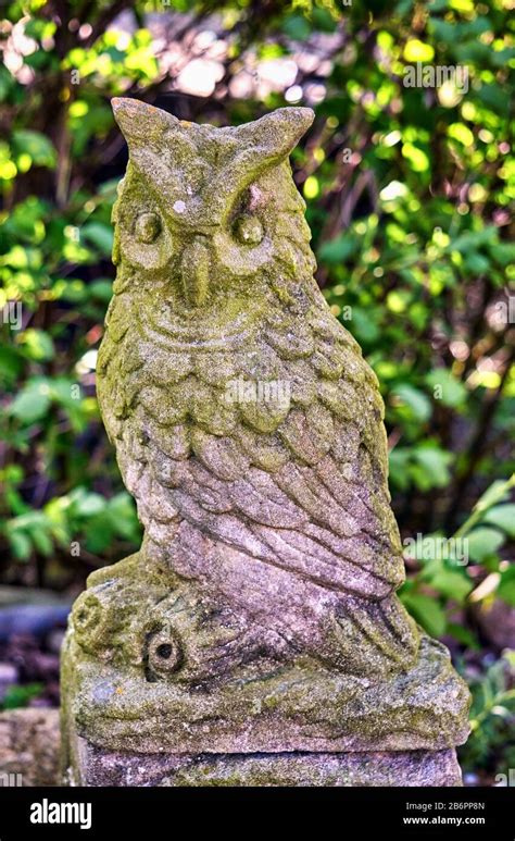 Stone Owl Sculpture - Etsy - muktibox.com