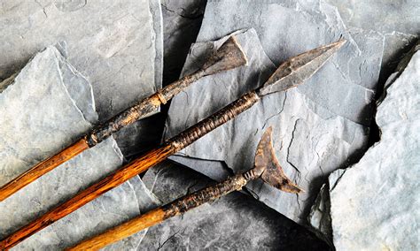 Stone tool use as an adaptive technology: A meta ... - ScienceDirect - wintechmobiles.com