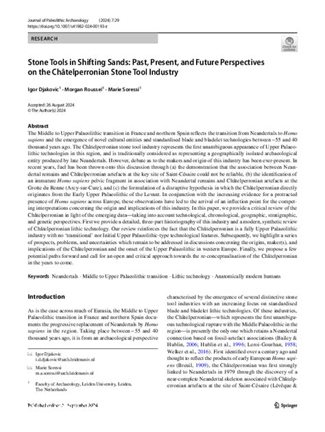 Stone Tools in Shifting Sands: Past, Present, and Future ... - Springer - wintechmobiles.com