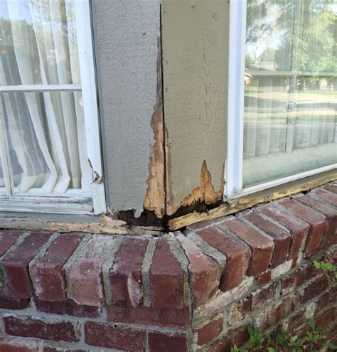 Stop Termites and Wood Rot with Borate Wood … - balustradellc