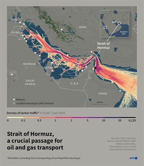 Strait of Hormuz Live Shipping Data: Tanker Traffic, Heatmap Analysis ... - balustradellc