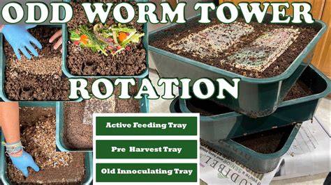 Strange But Effective Way to Rotate & Harvest Your Worm Tower ... - raincitystudios.com