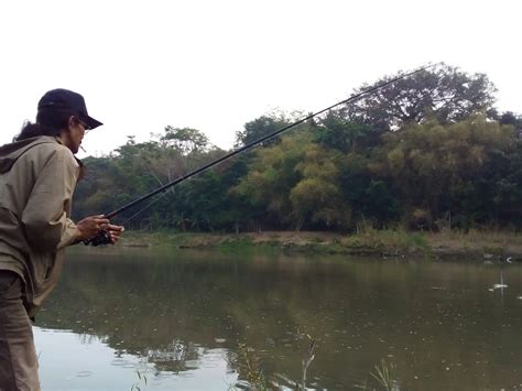 Strategi Ampuh Memancing Ikan saat Malam Hari - ARULPANRITA - balustradellc