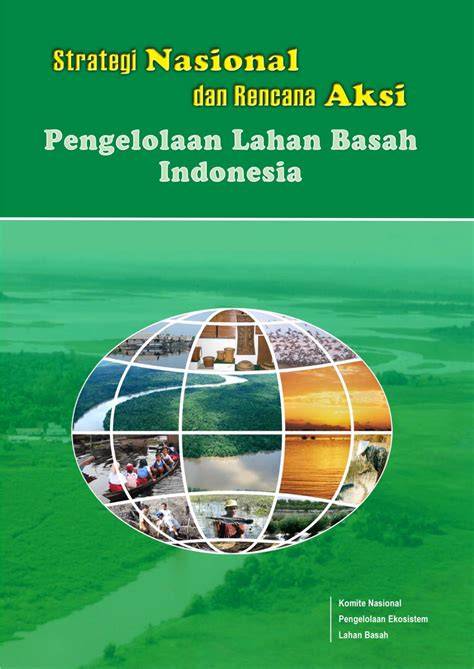 Strategi Nasional dan Rencana Aksi Pengelolaan Lahan Basah Indonesia - raincitystudios.com
