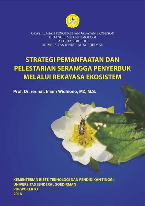 STRATEGI PEMANFAATAN DAN PELESTARIAN … - raincitystudios.com