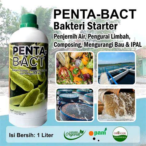 Strategi Pemeliharaan Bakteri Pengurai Limbah Minyak - raincitystudios.com