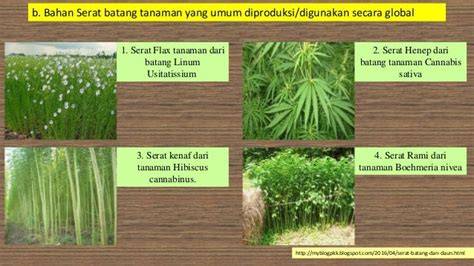 STRATEGI PENGEMBANGAN INDUSTRI SERAT ALAM DAUN … - raincitystudios.com