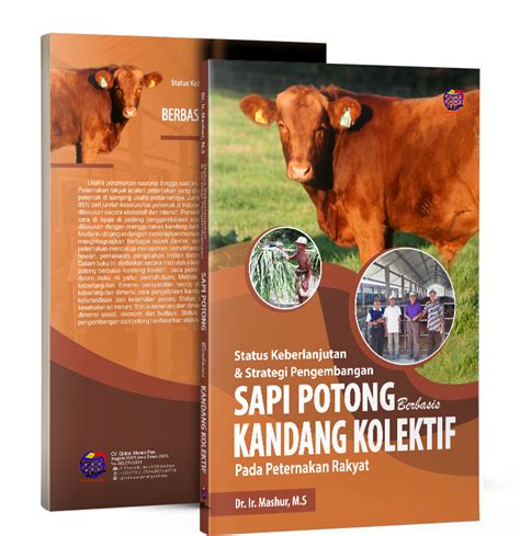 STRATEGI PENGEMBANGAN PETERNAKAN SAPI POTONG … - raincitystudios.com