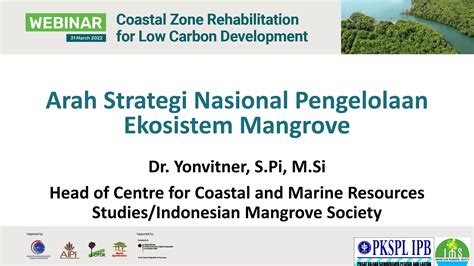 Strategi Rehabilitasi Dan Pengelolaan Mangrove Berdasarkan Analisis ... - raincitystudios.com