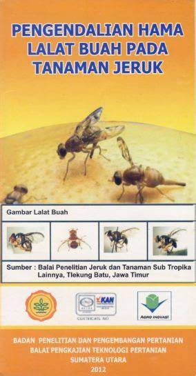 Strategi yang tepat dalam Pengendalian Hama Lalat Buah ... - UNSRI - raincitystudios.com