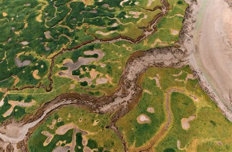 Strategic wetland restoration could unlock billions in benefits for ... - wintechmobiles.com